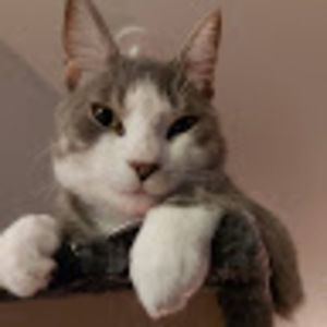 Meet your Posher, Loeffel